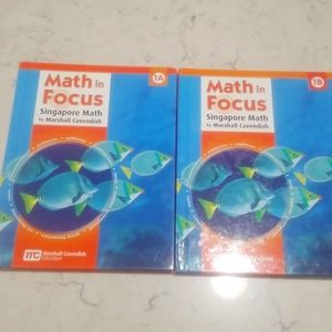 Math in Focus 1A